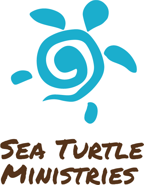 Home | Sea Turtle Ministries- Join the #TurtleTribe Today.